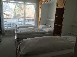 Hotel H�tel Des Alpes