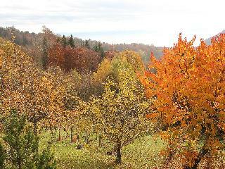Hotel Le Petit Clos Des Rocailles - Three Bedroom
