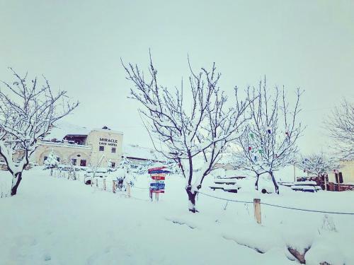 Miracle Cave Hotel