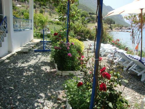 Hostal Mavi Akvaryum Pension