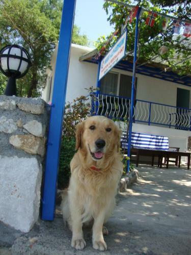Hostal Mavi Akvaryum Pension