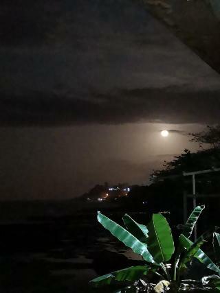 Hotel Playa Bonita