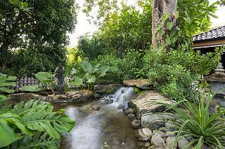 Hotel Bodhi Tree Yoga Resort