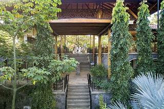 Hotel Bodhi Tree Yoga Resort