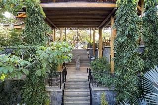 Hotel Bodhi Tree Yoga Resort