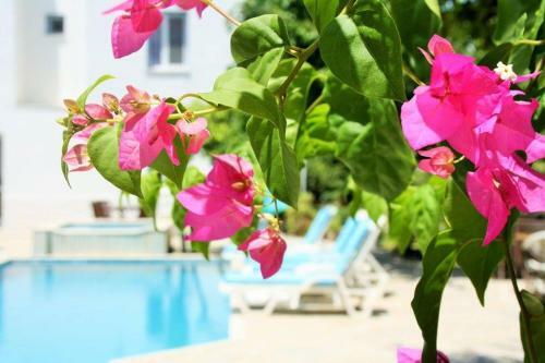 Parla Apart Hotel