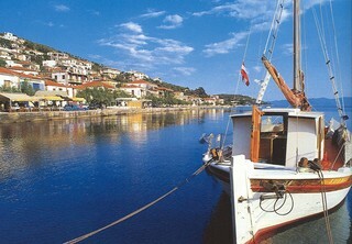 Olive Grove Villas