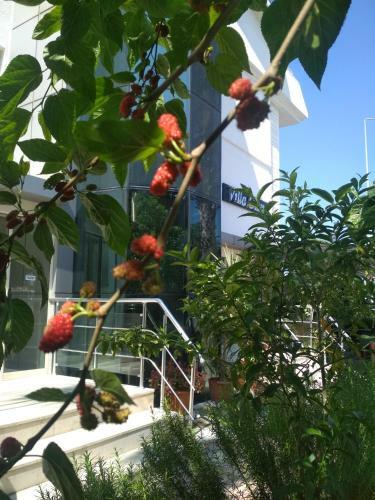 Hotel Villa Gizem
