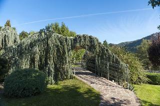 Hotel Bouganville