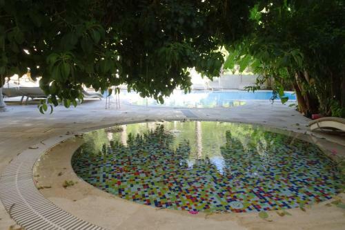 Petunya Konak Hotel
