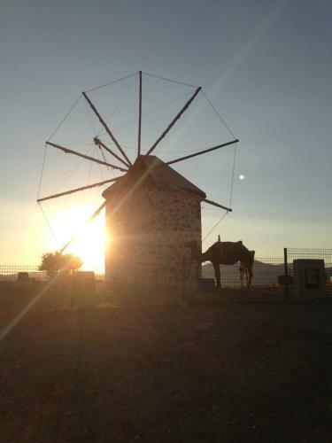 La Rosa Hotel