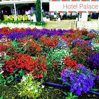 Hotel Palace Marina Dinevi