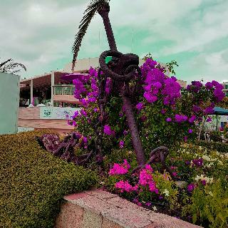 Hotel Palace Marina Dinevi