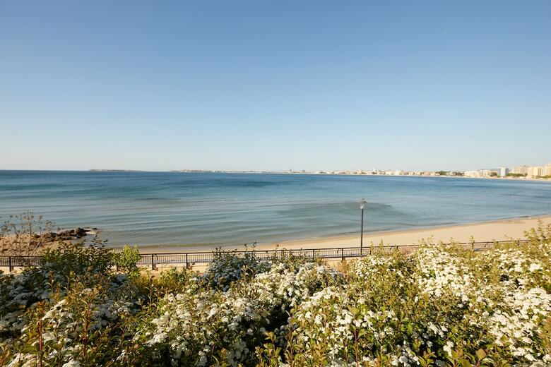 Hotel Dreams Sunny Beach Resort And Spa