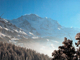 Hotel Jungfrau An Der Ledi - One Bedroom