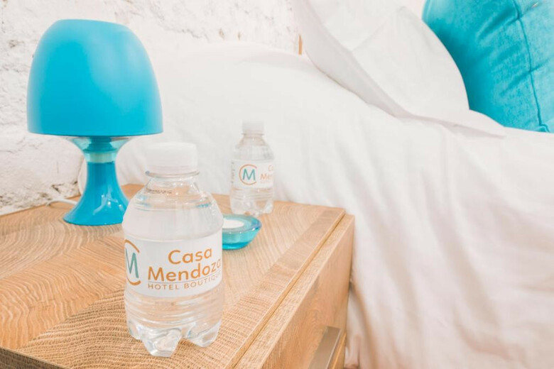 Hotel Casa Mendoza