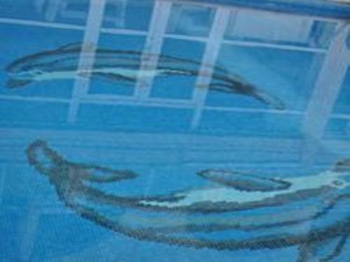 Ucem Hotel Golden Sea