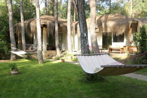Hotel Golden Key Bordubet