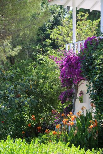 Hotel Golden Key Hisaronu