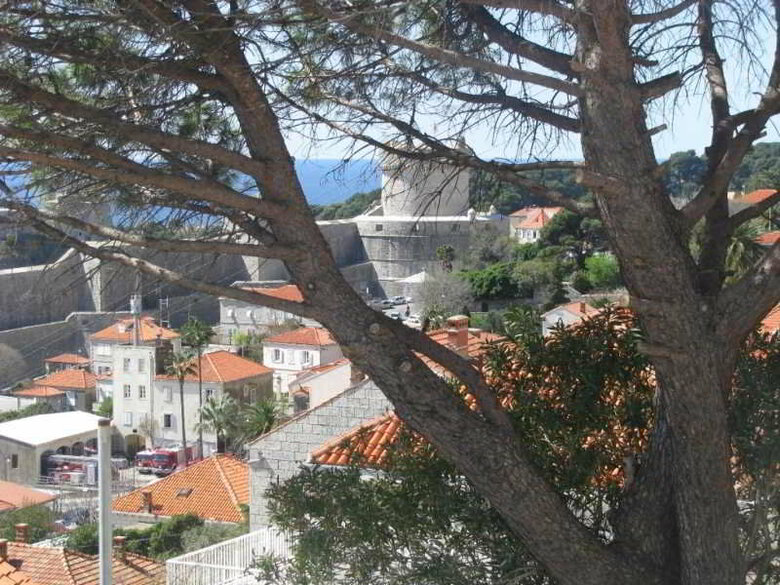 Hotel Rooms-house With Garden