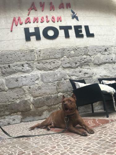 Hostal Ayhan Mansion Arch Cave Hotel
