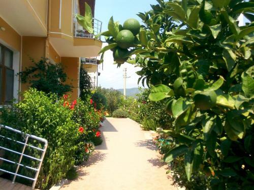 Bed & Breakfast Sirman Suite Hotel