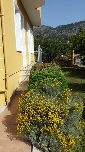 Bed & Breakfast Sirman Suite Hotel