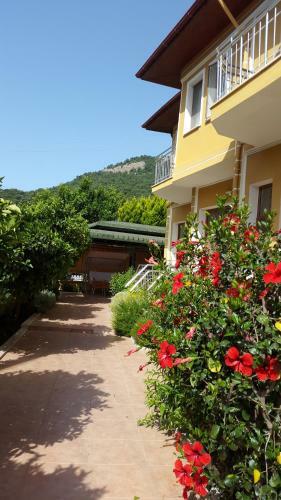 Bed & Breakfast Sirman Suite Hotel