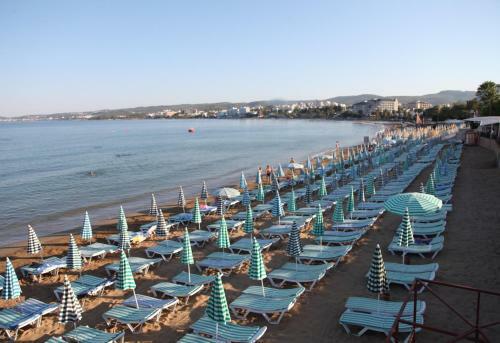Hotel Lonicera World