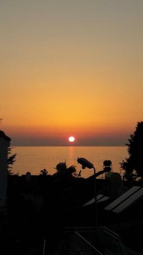 Musti Apart Hotel