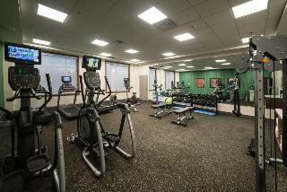 Hotel Holiday Inn Express And Suites West Edmonton-mall