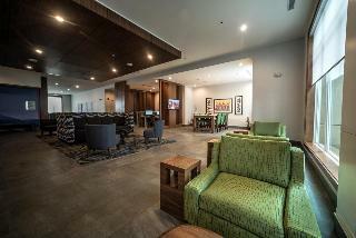 Hotel Holiday Inn Express And Suites West Edmonton-mall