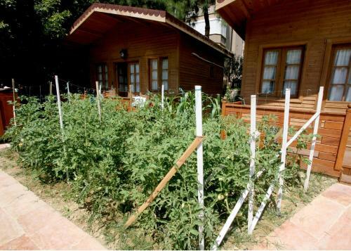 Sevkibey Hotel