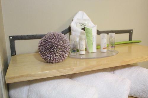 Hotel Vantage Inn & Suites