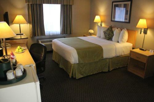 Hotel Vantage Inn & Suites