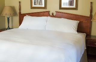 Hotel Aspen Village Inn