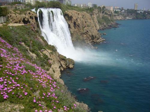 Marka Hotel