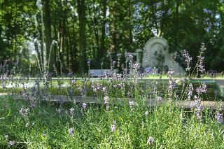 Ringhotel Vitalhotel Ambiente