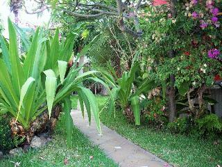 Hotel Pasion Tropical