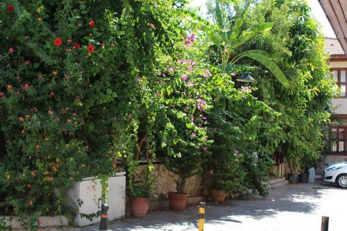 Hotel Lazer Pension