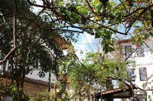 Hotel Lazer Pension