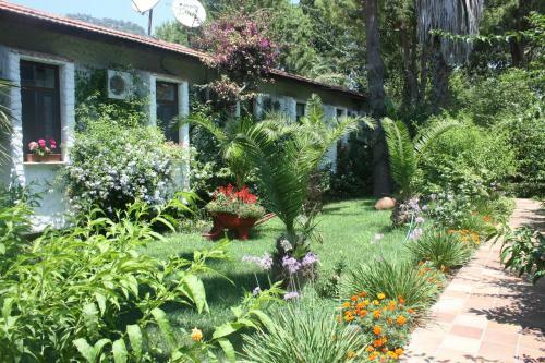 Hostal Hotel Happy Caretta