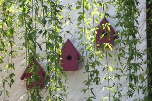 Hostal Hotel Happy Caretta