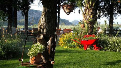 Hostal Hotel Happy Caretta