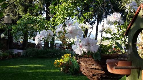 Hostal Hotel Happy Caretta