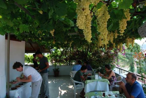 Hostal Rose Pension