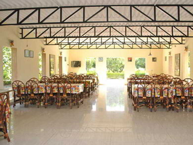 Hotel Gir Jungle Lodge