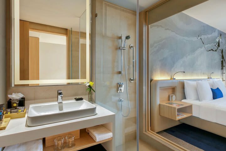 Hotel Novotel Ahmedabad
