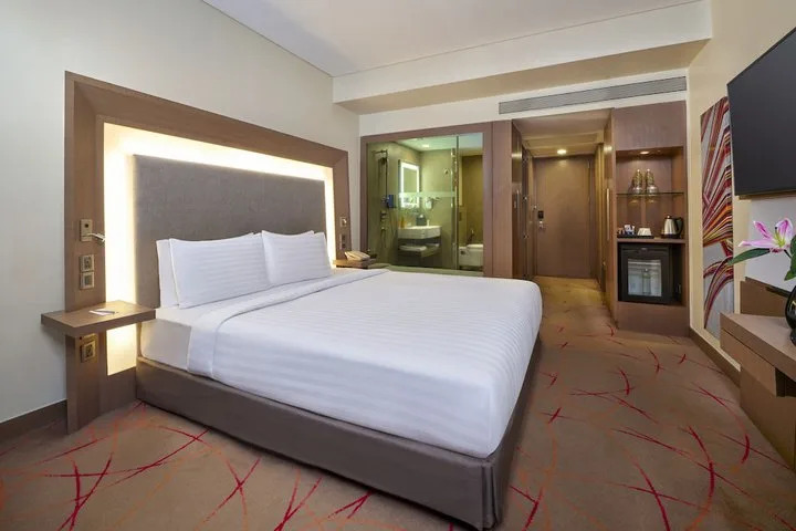 Hotel Novotel Ahmedabad