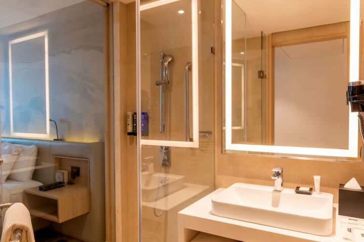 Hotel Novotel Ahmedabad